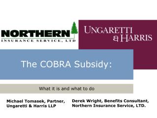 The COBRA Subsidy: