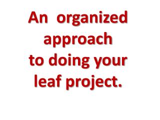 An organized approach to doing your leaf project.