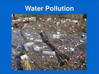 Water Pollution