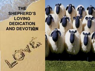 THE SHEPHERD’S LOVING DEDICATION AND DEVOTION Rev. Dr. Samuel P. Fernandez PREACHER