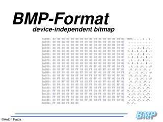 BMP-Format
