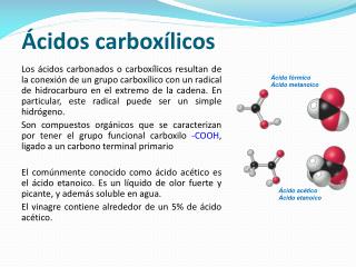 Ácidos carboxílicos