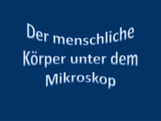 Der menschliche Körper unter dem Mikroskop