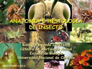 Biólogo Fernando Carezzano Cátedra de Morfología Animal Escuela de Biología