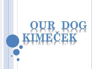 Our dog KImeček