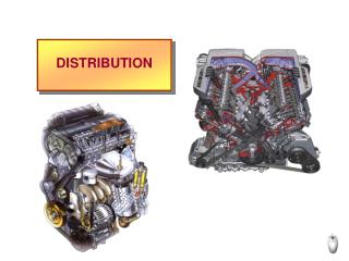 DISTRIBUTION
