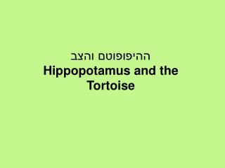 ההיפופוטם והצב Hippopotamus and the Tortoise
