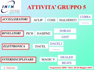 ATTIVITA’ GRUPPO 5