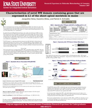 Center for Integrated Animal Genomics