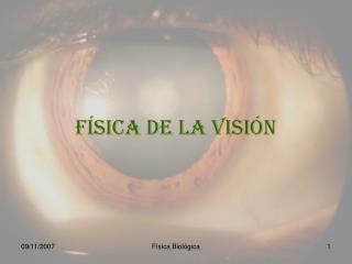 FÍSICA de la visión