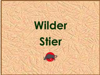 Wilder Stier