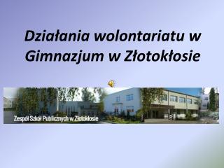 Działania wolontariatu w Gimnazjum w Złotokłosie