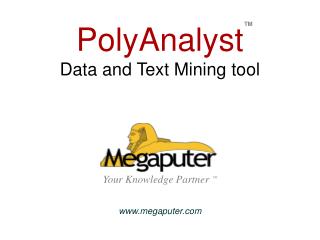 PolyAnalyst Data and Text Mining tool Your Knowledge Partner TM megaputer