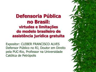 Defensoria Pública no Brasil: virtudes e limitações