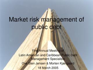 Market risk management of public debt