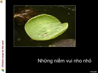 Những niềm vui nho nhỏ