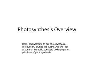 Photosynthesis Overview