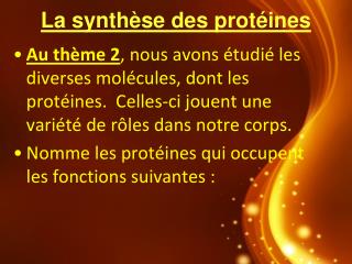 La synthèse des protéines