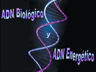 ADN Biológico