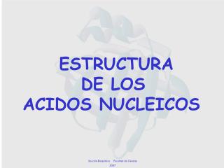 ESTRUCTURA DE LOS ACIDOS NUCLEICOS