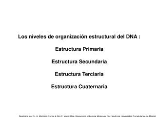 Los niveles de organización estructural del DNA : Estructura Primaria Estructura Secundaria
