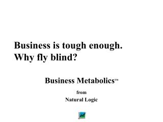 Business is tough enough. Why fly blind?