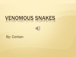 venomous snakes