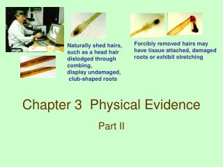 Chapter 3 Physical Evidence