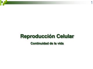 Reproducción Celular Continuidad de la vida