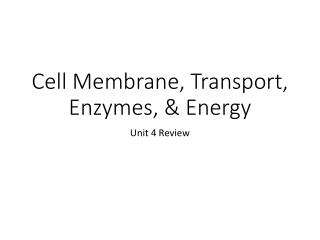 Cell Membrane, Transport, Enzymes, &amp; Energy