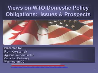 Views on WTO Domestic Policy Obligations: Issues & Prospects