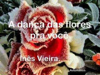 A dança das flores pra você.
