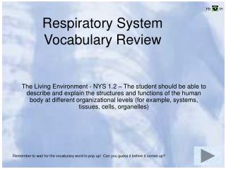 Respiratory System Vocabulary Review