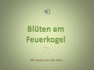 Blüten am Feuerkogel