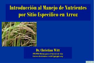 Introducción al Manejo de Nutrientes por Sitio Específico en Arroz