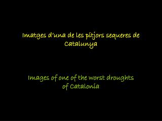 Imatges d’una de les pitjors sequeres de Catalunya