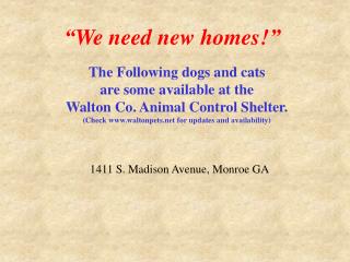 “We need new homes!”