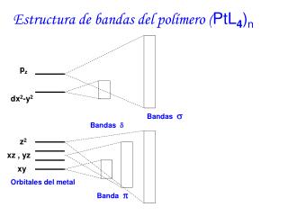 Orbitales del metal