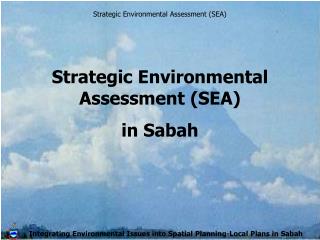 Strategic Environmental Assessment (SEA)