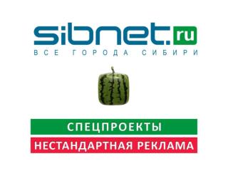 Sibnet.ru — сибирский информационно-развлекательный портал.
