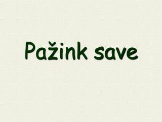 Pažink save