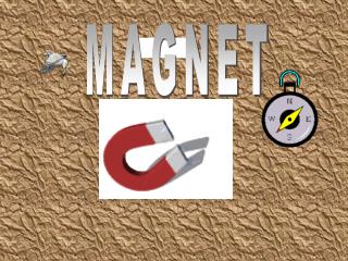 MAGNET