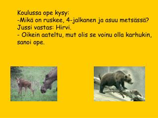 Koulussa ope kysy: -Mikä on ruskee, 4-jalkanen ja asuu metsässä? Jussi vastas: Hirvi.