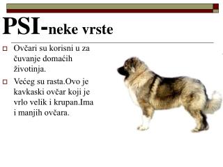 PSI- neke vrste