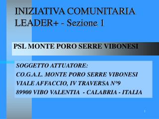 INIZIATIVA COMUNITARIA LEADER+ - Sezione 1