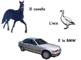 Il cavallo