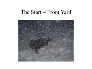 The Start – Front Yard