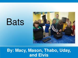 By: Macy, Mason, Thabo, Uday, and Elvis