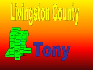 Livingston County