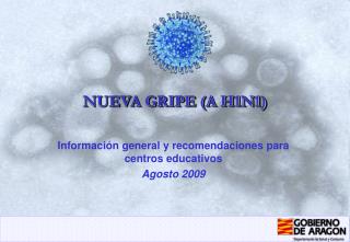 NUEVA GRIPE (A H1N1)